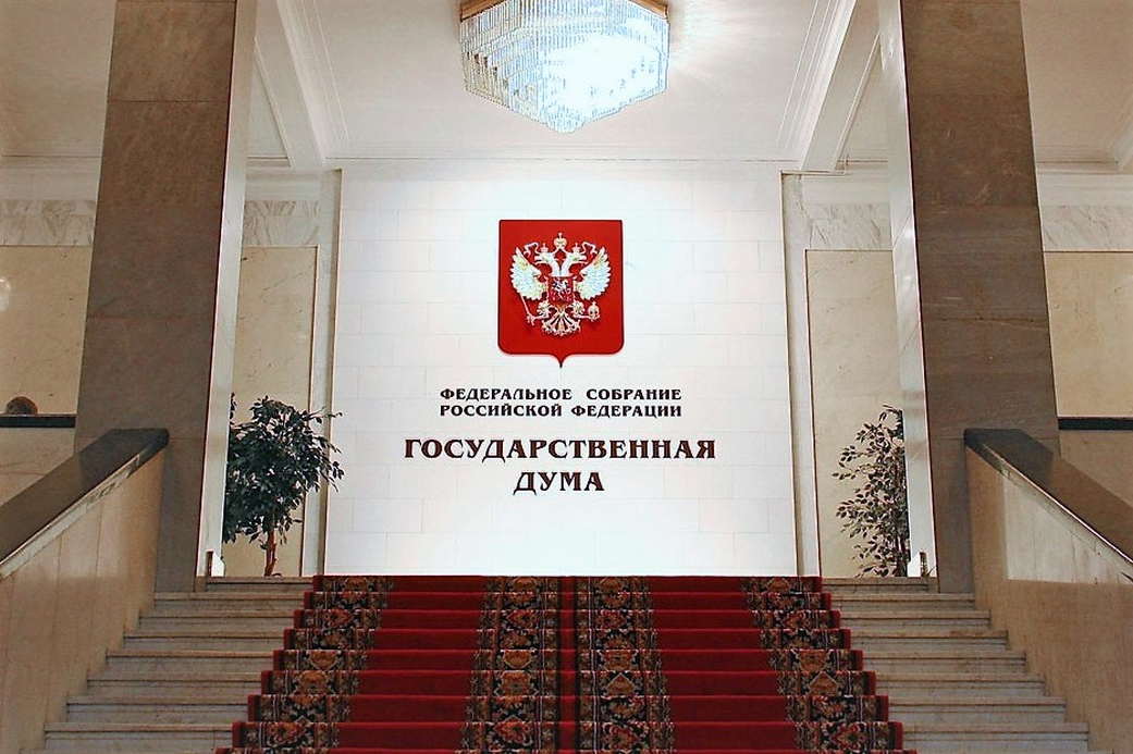 В Госдуме высмеяли власти Литвы из-за инцидента со стаей птиц