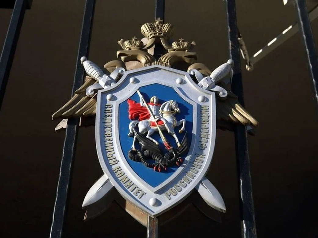 «Зеленые комнаты» для детей: правозащитники обратились в Следственный комитет