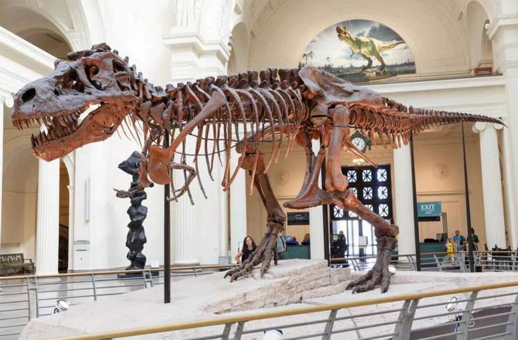 Bloomberg назвал популярный актив у сверхбогатых людей