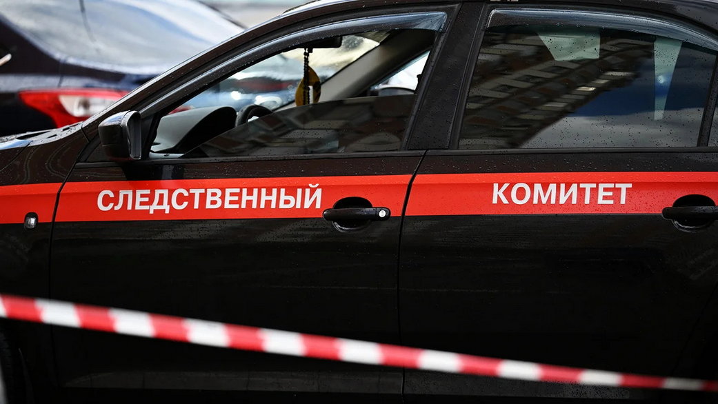 СК возбудил уголовное дело по факту смерти ученого Зезина после избиения