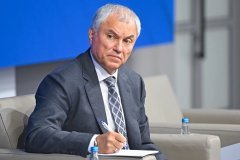 Володин объяснил, почему мигрантов стали чаще выдворять из РФ