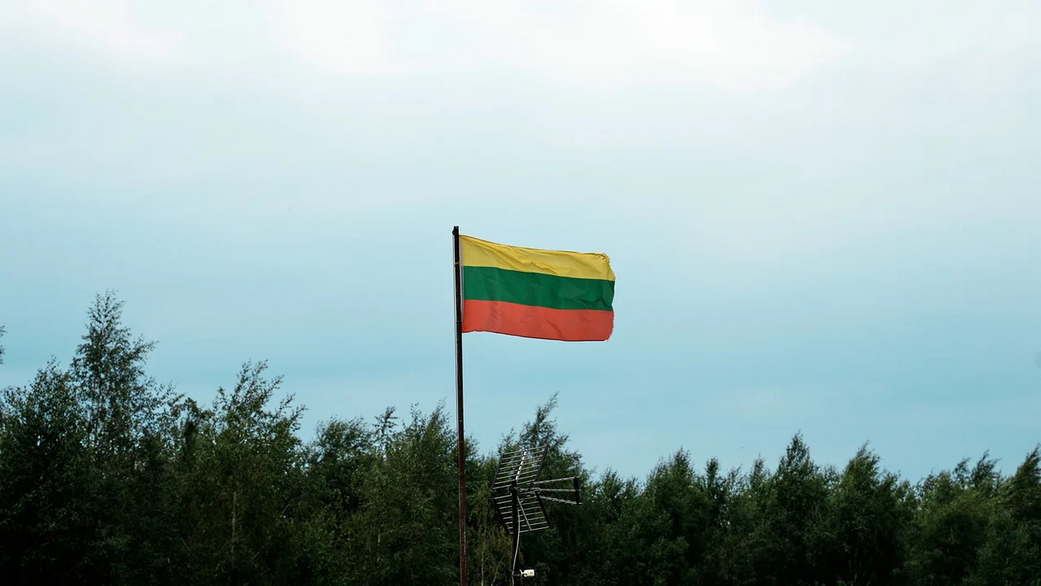 МИД Литвы готовит ноту Белоруссии после инцидента с беспилотником