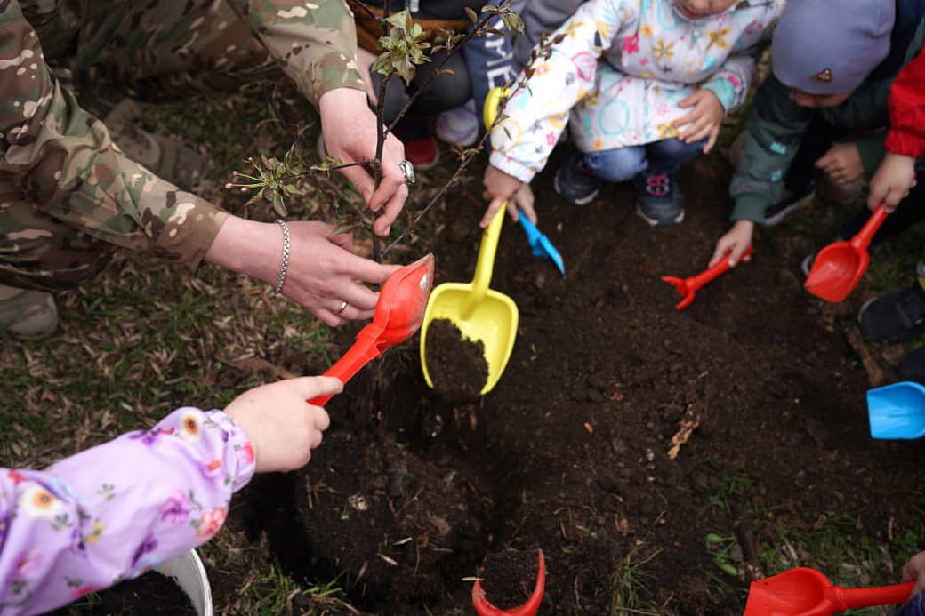 Дети сажают самолет. Дети сажают деревья. Посадка деревьев. Посади дерево. Акция посади дерево в детском саду.