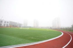 gaa483-019