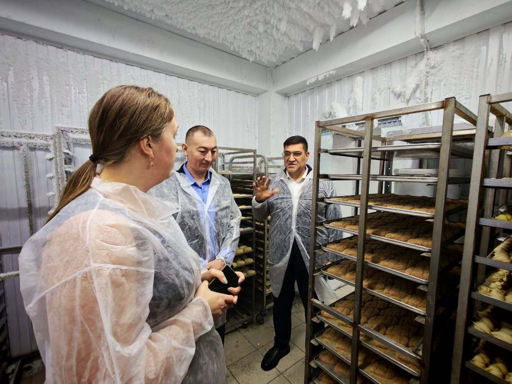 Наставничество — погружение в мир предпринимательства