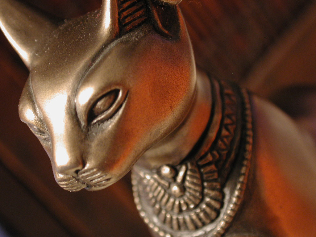 Ученые доказали, что кошки были одомашнены древними египтянами