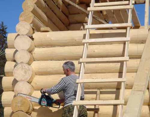 Минпромторг предложил разрешить постройку многоэтажных домов из дерева