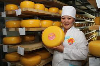 Импорт сыров в Россию снизился в 2 раза