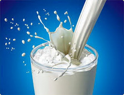 Россия и Белоруссия договорились о процедуре снятия санкций на «молочку»