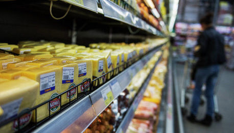 Пармезан и импортные йогурты могут вернуться на российские прилавки
